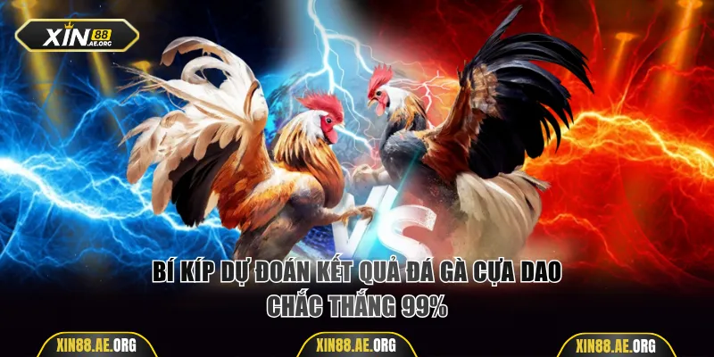 Bí kíp dự đoán kết quả đá gà cựa dao chắc thắng 99%