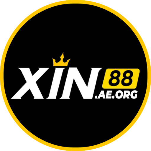 xin88